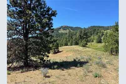 1 A Lundimo Meadows Road, Curlew, WA 99118 - Photo 12