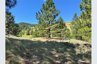 1 A Lundimo Meadows Road, Curlew, WA 99118 - Photo 10