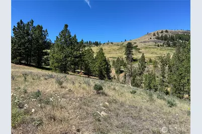 1 A Lundimo Meadows Road, Curlew, WA 99118 - Photo 2