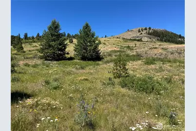 1 A Lundimo Meadows Road, Curlew, WA 99118 - Photo 20