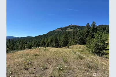 1 A Lundimo Meadows Road, Curlew, WA 99118 - Photo 14