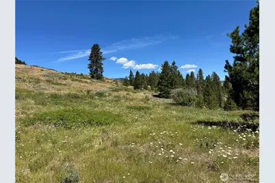 1 A Lundimo Meadows Road, Curlew, WA 99118 - Photo 1