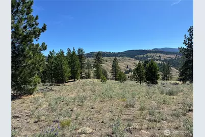 2 B Lundimo Meadows Road, Curlew, WA 99118 - Photo 14