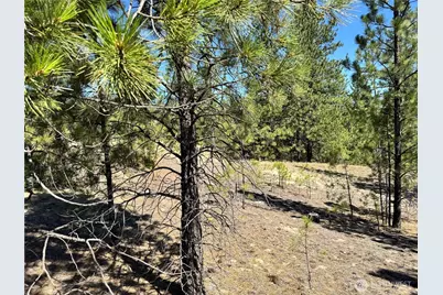 2 B Lundimo Meadows Road, Curlew, WA 99118 - Photo 12