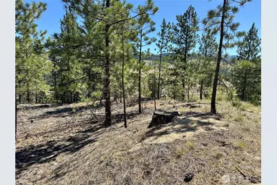 2 B Lundimo Meadows Road, Curlew, WA 99118 - Photo 10