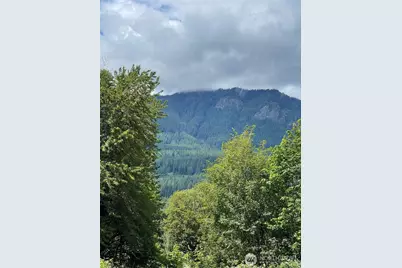 226 Bennett Road, Randle, WA 98377 - Photo 12