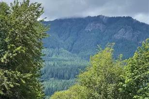 226 Bennett Rd, Randle, WA 98377 - Photo 12