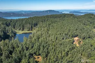 1669 Day Lake Rd, Orcas Island, WA 98245 - Photo 28