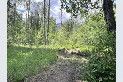 7 Mazama Meadows Lane, Mazama, WA 98833 - Photo 34