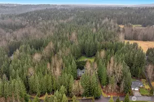 13423 54th St SE, Snohomish, WA 98290 - Photo 38