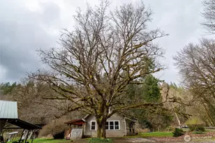 7929 Silver Lake Rd, Maple Falls, WA 98266 - Photo 28