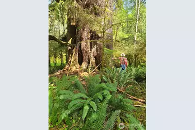 [Address not provided], Forks, WA 98331 - Photo 1