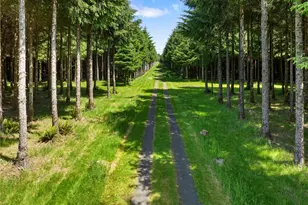 [Address not provided], Forks, WA 98331 - Photo 8