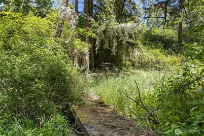 22030 Peissner Road SE, Yelm, WA 98597 - Photo 6