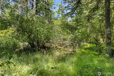 22030 Peissner Road SE, Yelm, WA 98597 - Photo 2