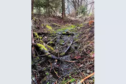 2100 Blk E Eloika Lake Road, Deer Park, WA 99006 - Photo 24