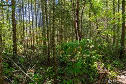 0 45th and Cleveland, Port Townsend, WA 98368 - Photo 10