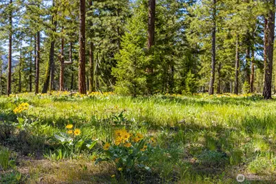 141 Plateau Loop, Cle Elum, WA 98922 - Photo 10