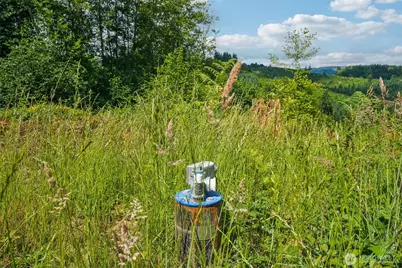 1830 Hazel Dell Road #Lot 1, Castle Rock, WA 98611 - Photo 4