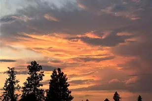 2207 W Depot Springs Rd, Spangle, WA 99031 - Photo 26