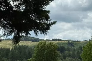 14818 Terrace Ave SE, Tenino, WA 98589 - Photo 22