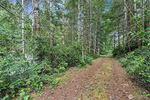 1130 E Phillips Lake Rd, Shelton, WA 98584 - Photo 26