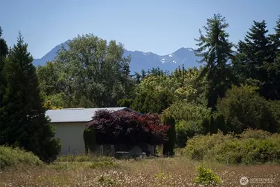 503 Roberson Road, Sequim, WA 98382 - Photo 6