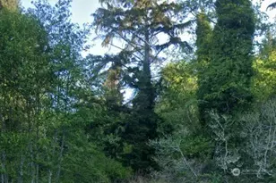 0 Cosgrove St, Hoquiam, WA 98550 - Photo 1