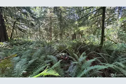 44701 SE Edgewick Road, North Bend, WA 98045 - Photo 8