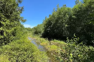 77 A Road Less Traveled, Sequim, WA 98382 - Photo 40