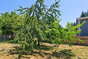 110 Cedar Crest Pl, Napavine, WA 98532 - Photo 28