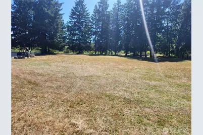 34412 Mountain Highway E, Eatonville, WA 98328 - Photo 4