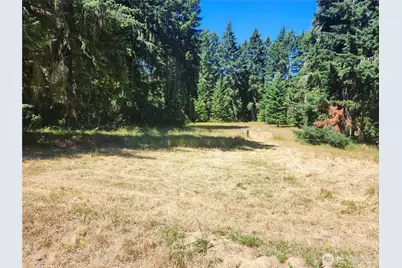 34412 Mountain Highway E, Eatonville, WA 98328 - Photo 36