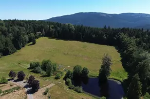 2263 Lost Mountain Rd, Sequim, WA 98382 - Photo 40