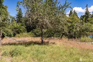 2430 Goss Lake Rd, Langley, WA 98260 - Photo 28