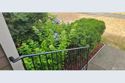 9131 Thea Rose Drive SE, Yelm, WA 98597 - Photo 34