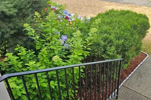 9131 Thea Rose Dr. SE, Yelm, WA 98597 - Photo 34