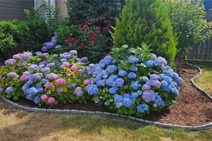 9131 Thea Rose Dr. SE, Yelm, WA 98597 - Photo 2