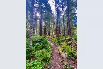 0 Xx Mountain Loop Highway, Granite Falls, WA 98252 - Photo 4