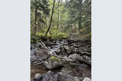 0 Xx Mountain Loop Highway, Granite Falls, WA 98252 - Photo 6