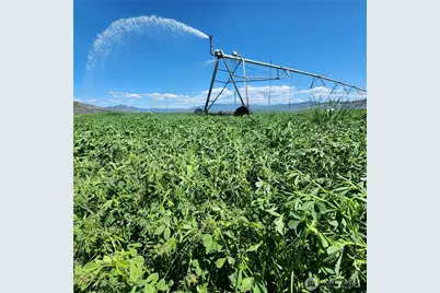 2034 Pine Creek Road, Tonasket, WA 98855 - Photo 8