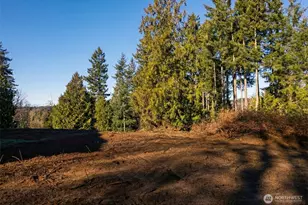 6223 Ebbert Dr SE, Port Orchard, WA 98367 - Photo 34