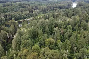 1654 Spencer Rd, Salkum, WA 98582 - Photo 34