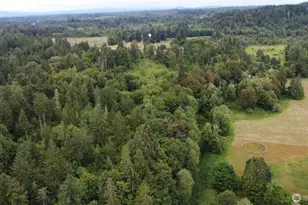 1654 Spencer Rd, Salkum, WA 98582 - Photo 38