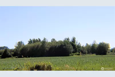 1961 Rayhorst Road, Ferndale, WA 98248 - Photo 16