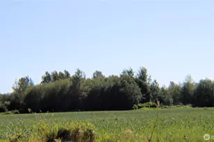 1961 Rayhorst Rd, Ferndale, WA 98248 - Photo 8