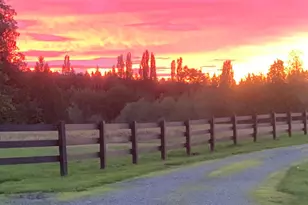 31405 SE Redmond-Fall City Rd, Fall City, WA 98024 - Photo 34