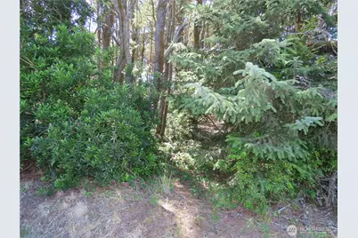 0 Surf Street, Westport, WA 98595 - Photo 8