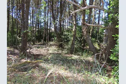 0 Surf Street, Westport, WA 98595 - Photo 6