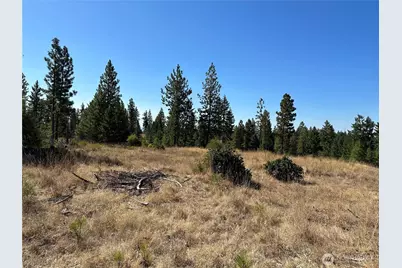 0 Three Mountains Meadows, Goldendale, WA 98620 - Photo 2
